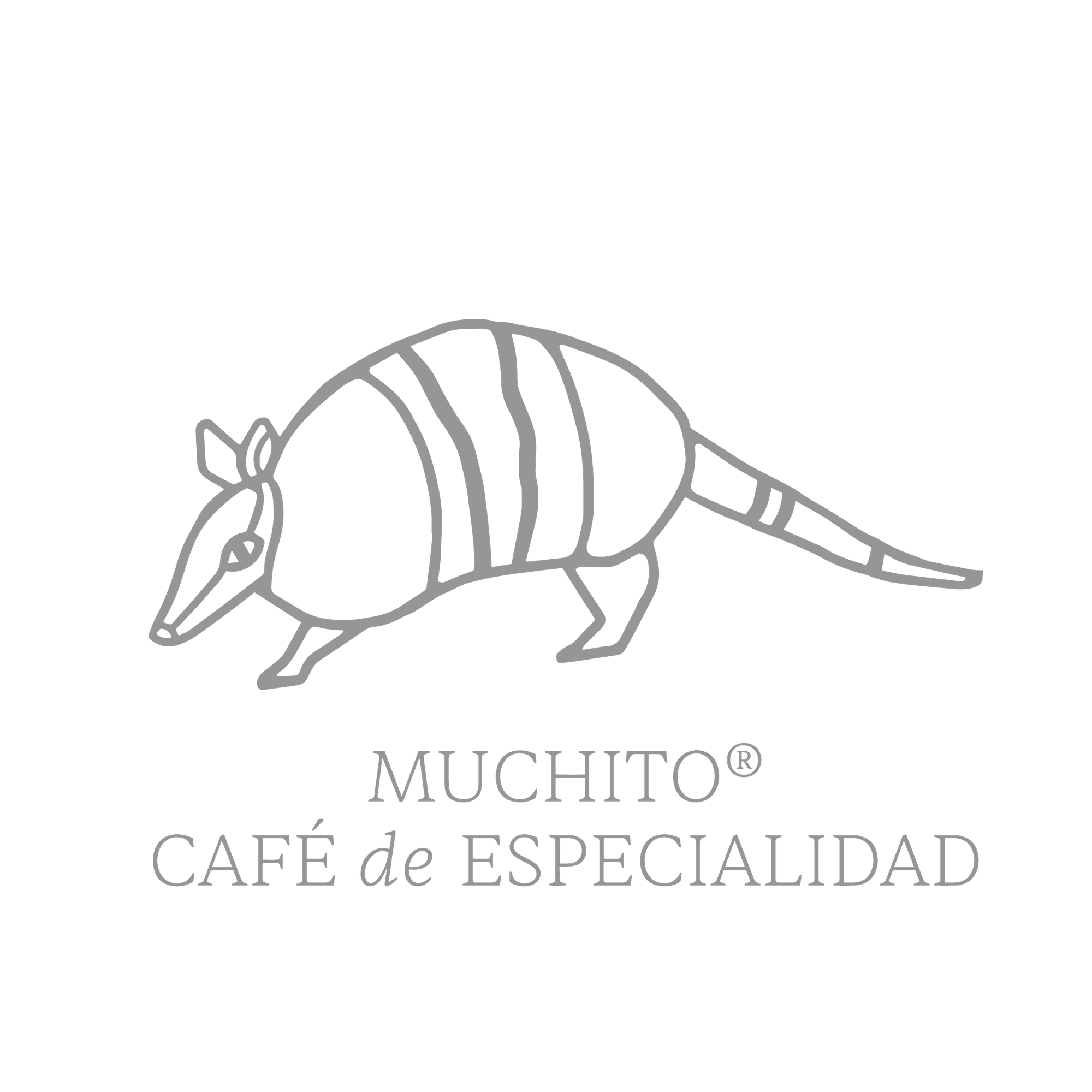 Muchito