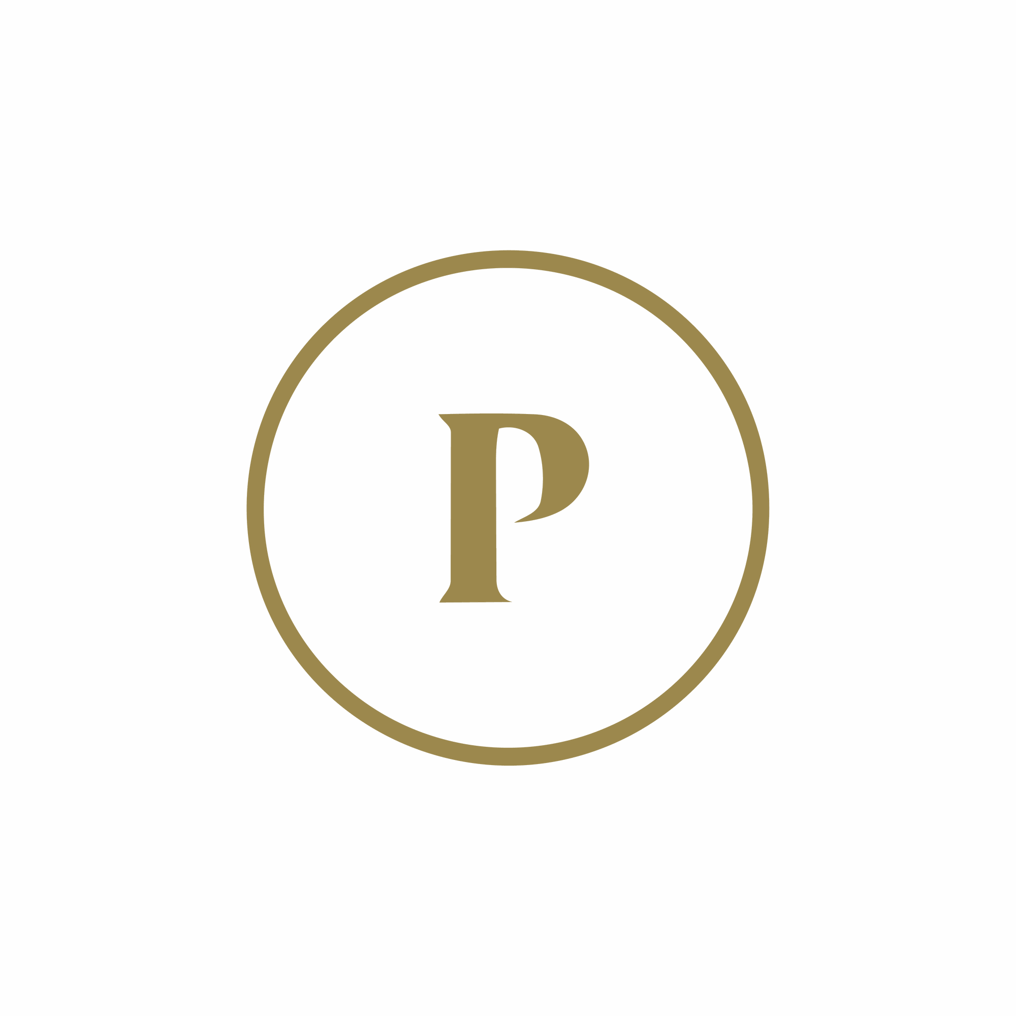 Publicación 1